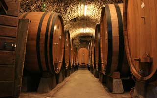 cellar in tuscany
