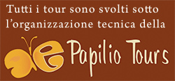 Papilio tours